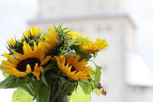 Sonnenblumen auf Fensterbank und Fensterausblick mit Turm im Hintergrund